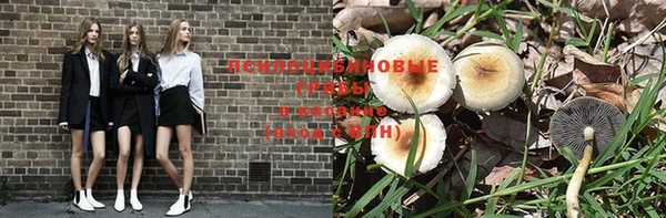 мескалин Михайловка