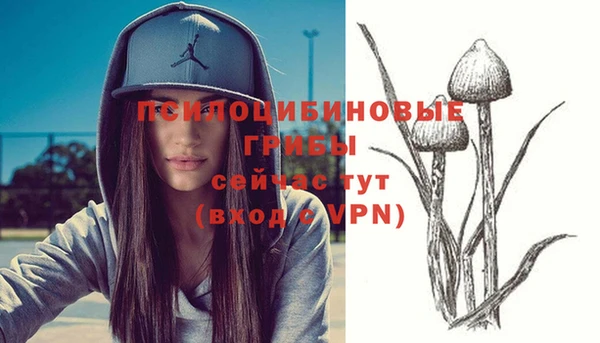 МДМА Надым