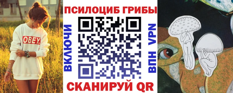 Псилоцибиновые грибы Psilocybine cubensis  Новодвинск 