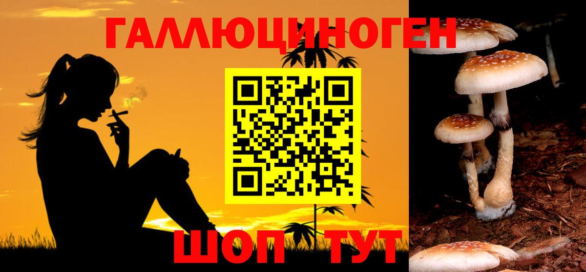 Псилоцибиновые грибы прущие грибы Новодвинск