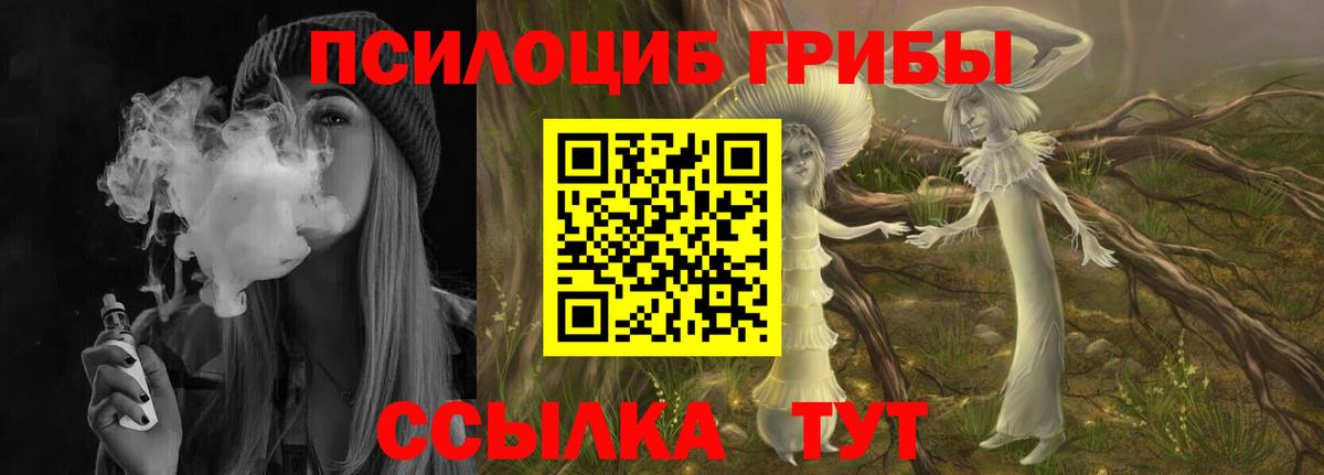 Псилоцибиновые грибы ЛСД  Вход с VPN  Новодвинск 